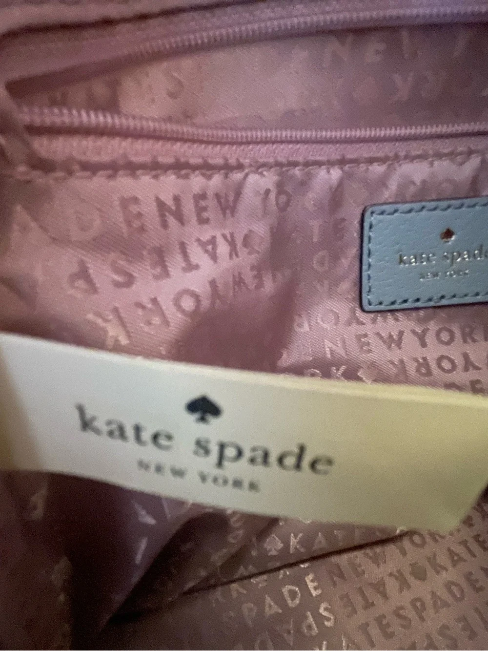 kate spade Light Blue Pebble Leather Mini Backpack with Gold Hardware